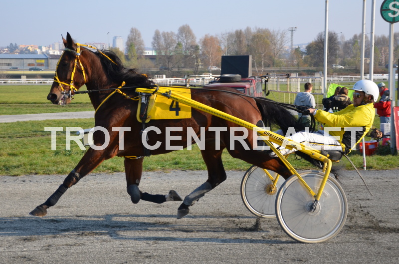 6.dostih - I Can Fly Diamant 2 - 12.11.11