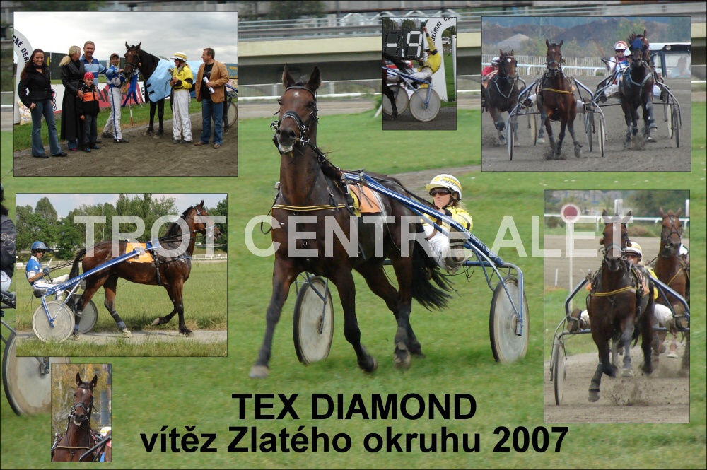 Tex Diamond