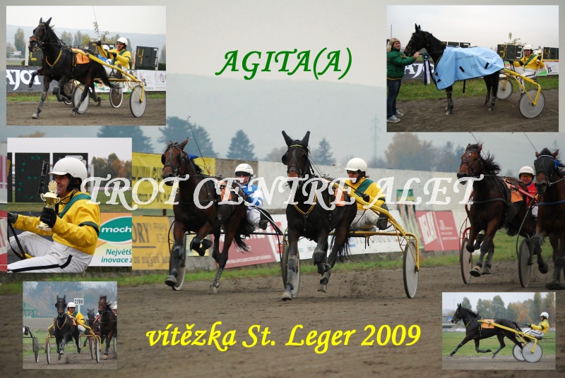 Agita - St.Leger 800 x.jpg