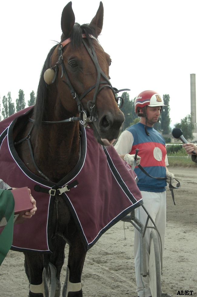 7.dostih - 09.06.2007 - vítěz Västerbo Today.jpg